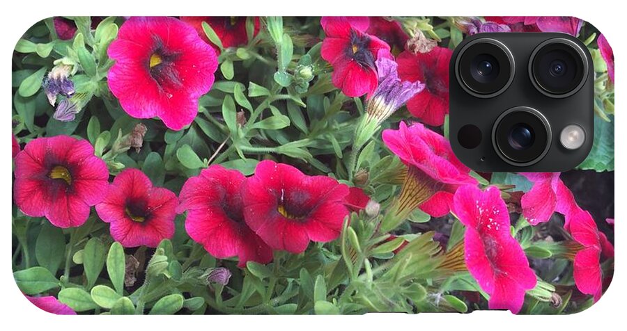 Pink Petunias - Phone Case