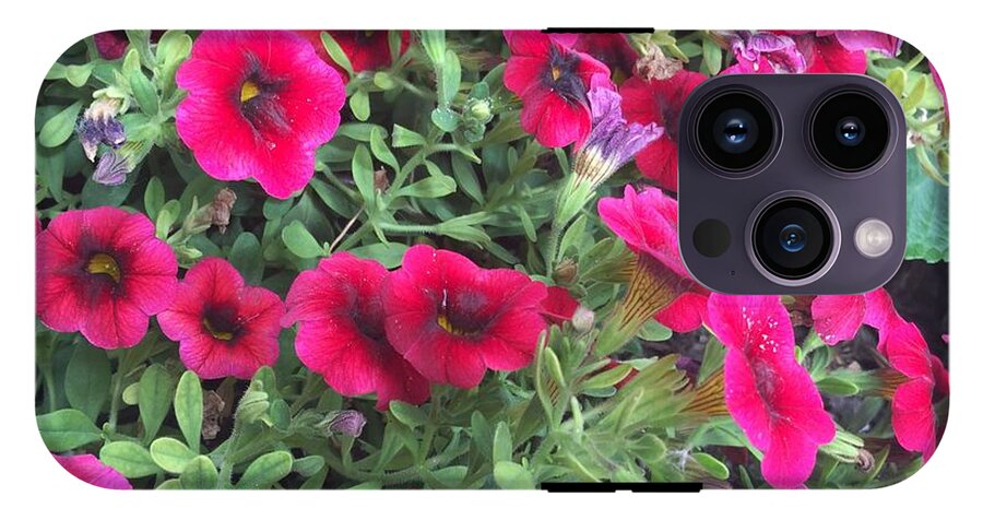 Pink Petunias - Phone Case