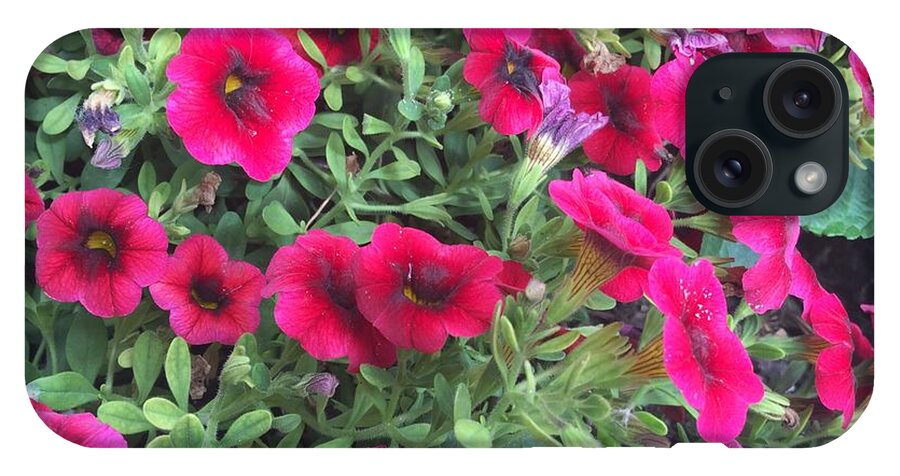 Pink Petunias - Phone Case