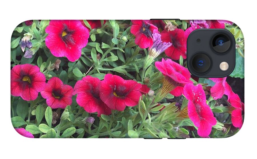 Pink Petunias - Phone Case
