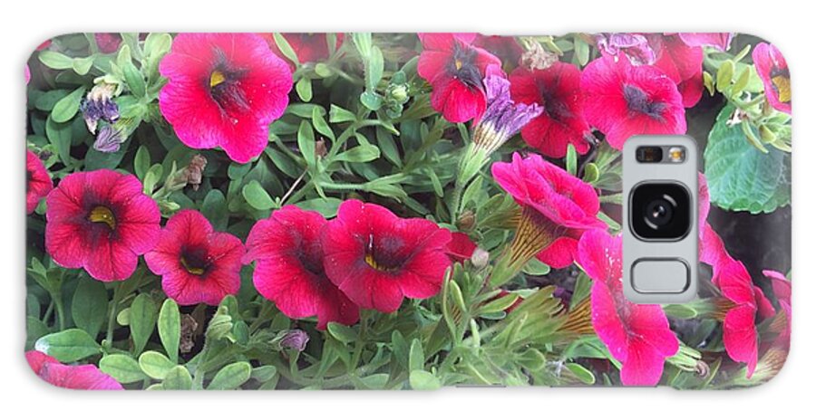 Pink Petunias - Phone Case