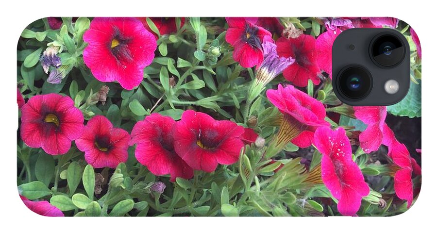 Pink Petunias - Phone Case