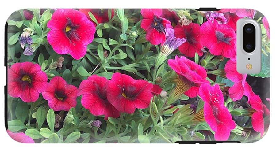 Pink Petunias - Phone Case