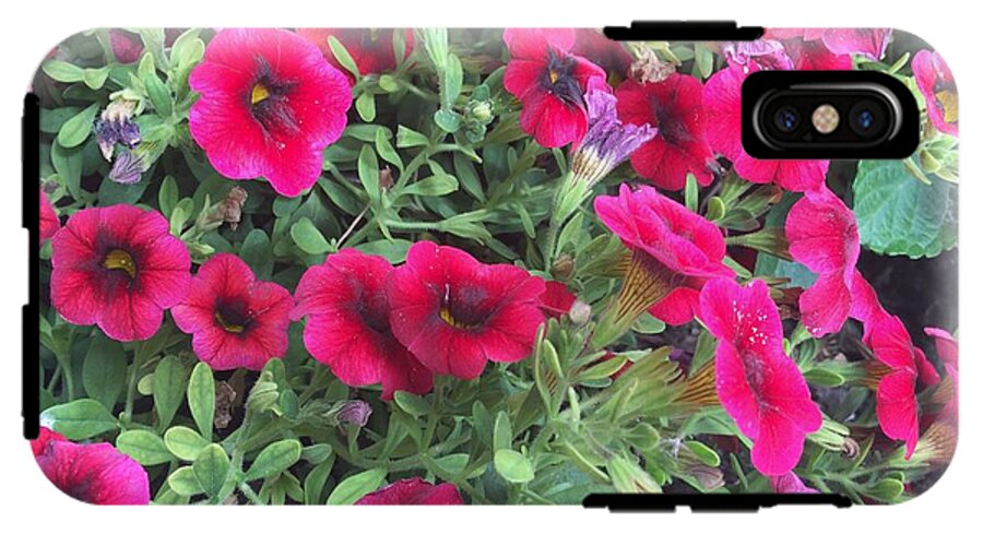 Pink Petunias - Phone Case