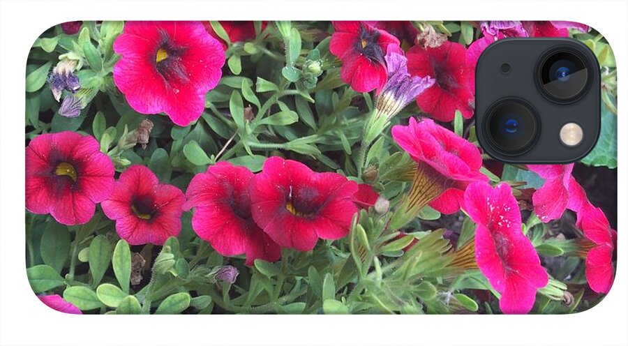 Pink Petunias - Phone Case