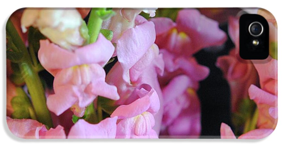 Pink Snapdragons - Phone Case