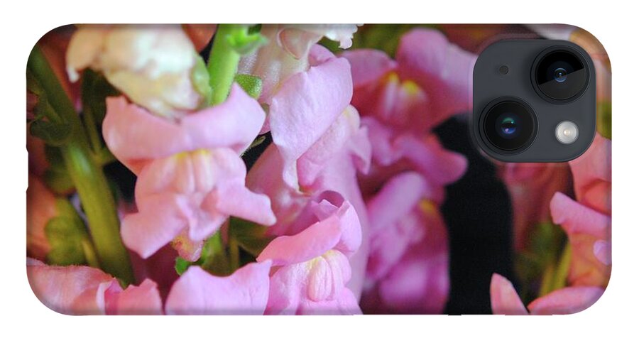 Pink Snapdragons - Phone Case