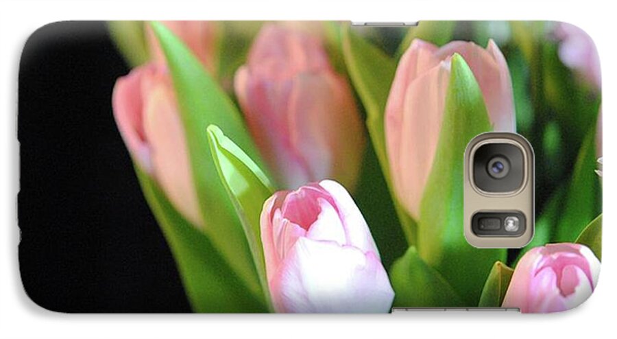 Pink Tulips - Phone Case