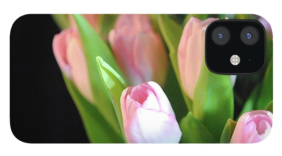 Pink Tulips - Phone Case