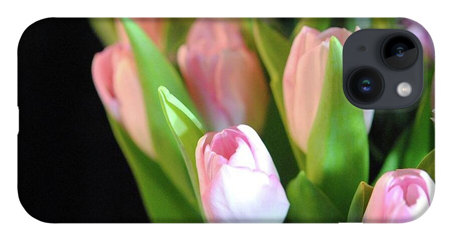 Pink Tulips - Phone Case
