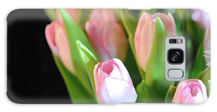 Pink Tulips - Phone Case