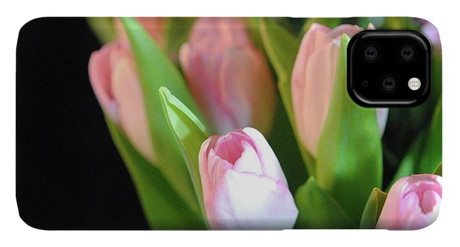 Pink Tulips - Phone Case
