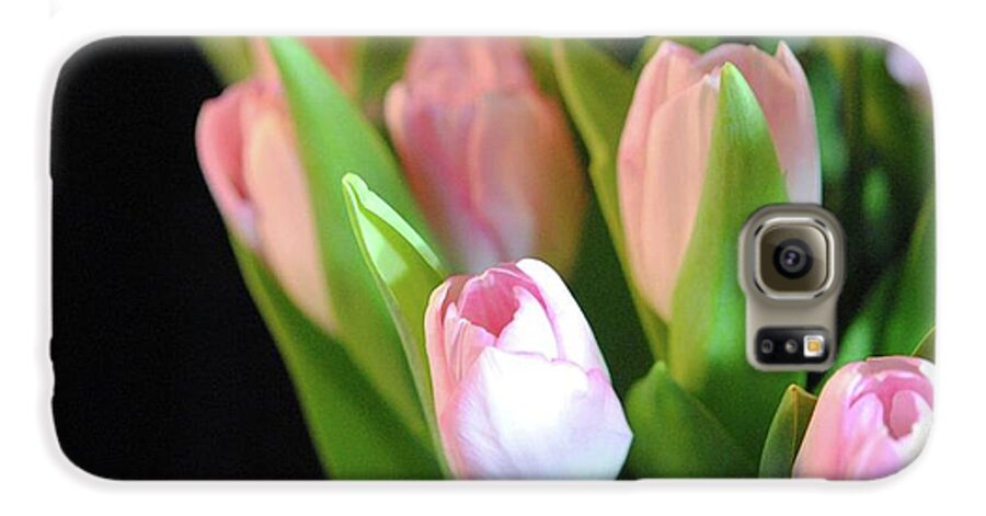 Pink Tulips - Phone Case