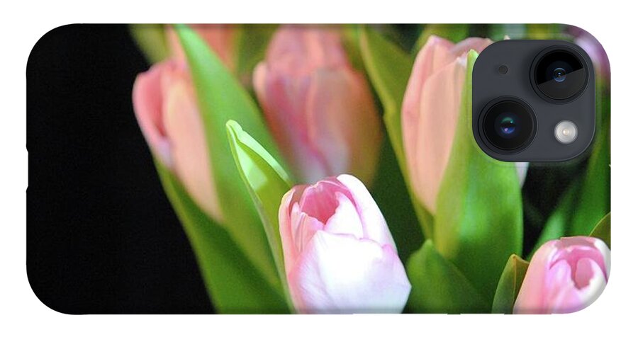 Pink Tulips - Phone Case