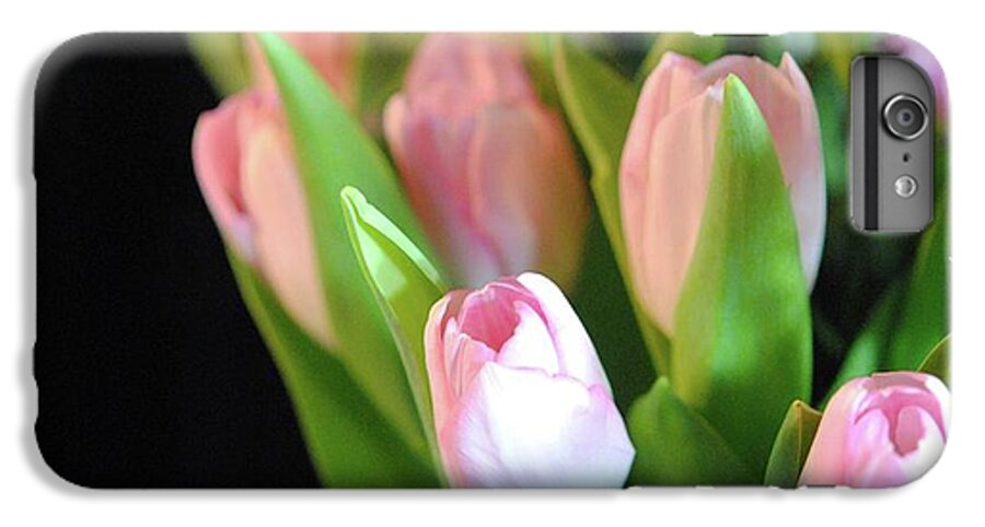 Pink Tulips - Phone Case