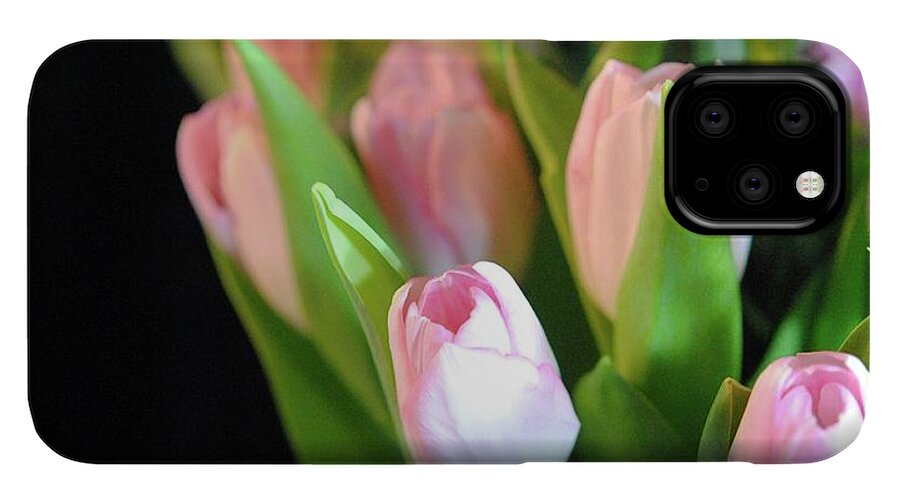 Pink Tulips - Phone Case