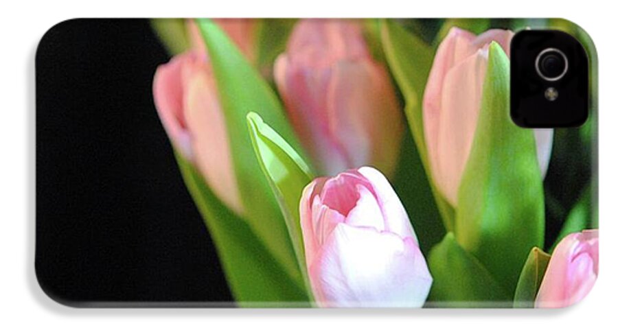 Pink Tulips - Phone Case