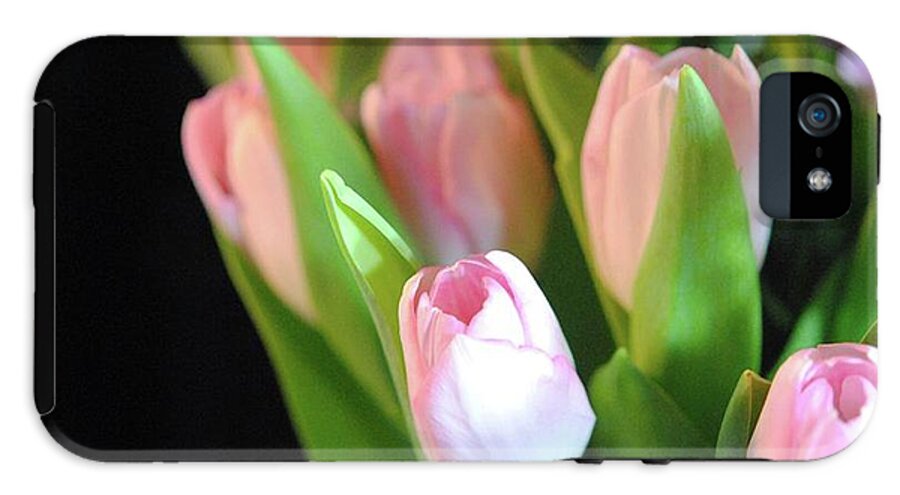 Pink Tulips - Phone Case