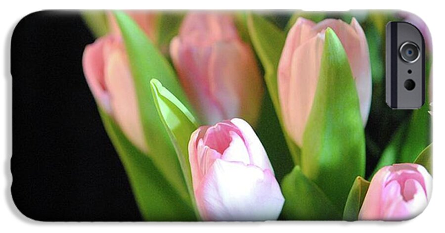 Pink Tulips - Phone Case