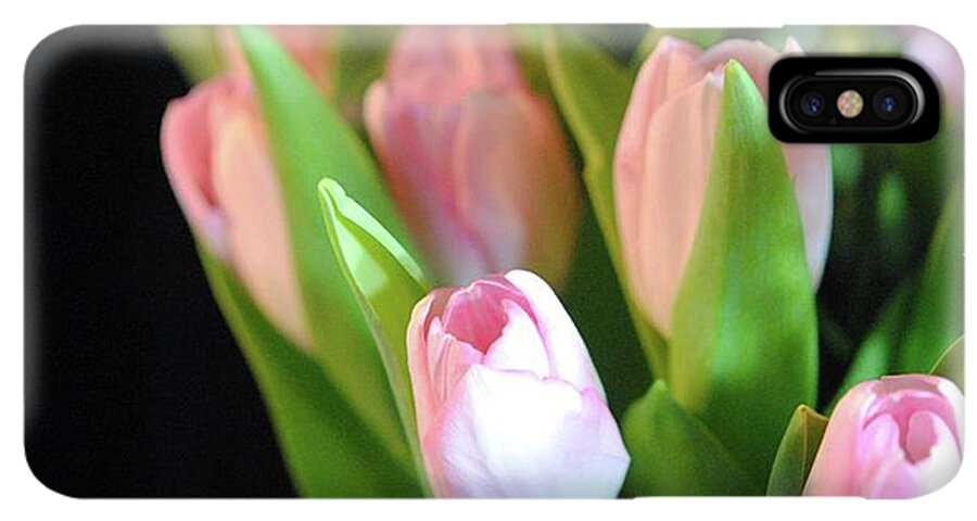 Pink Tulips - Phone Case