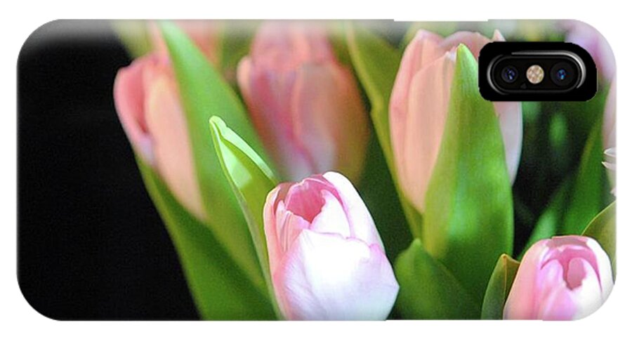Pink Tulips - Phone Case