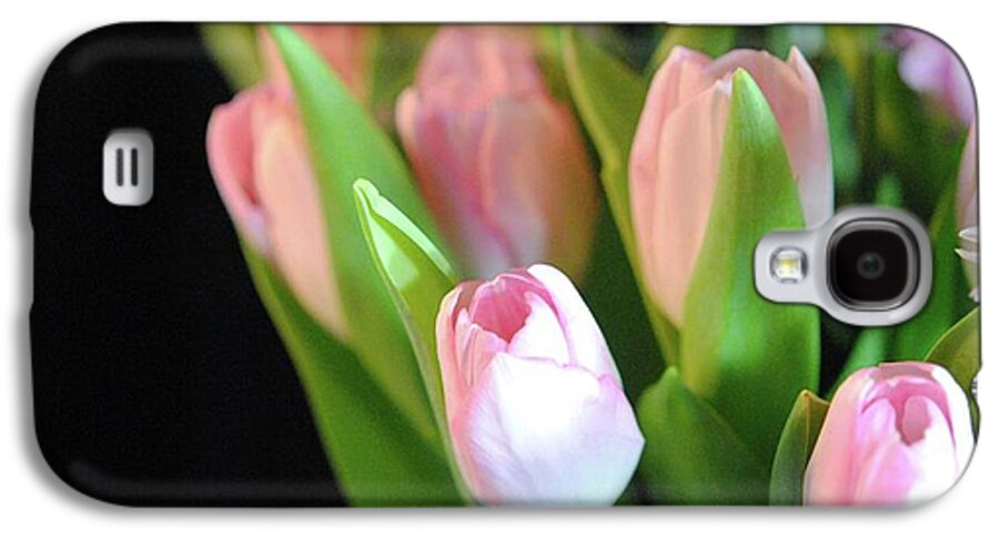 Pink Tulips - Phone Case