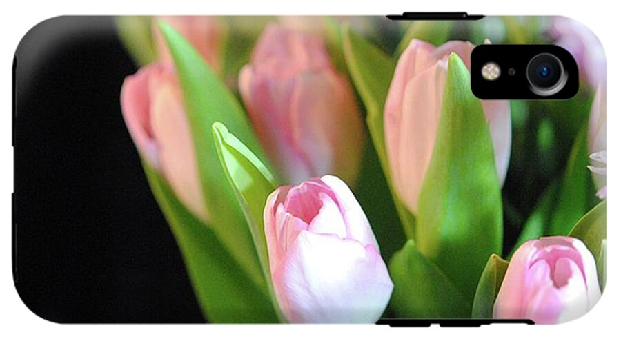 Pink Tulips - Phone Case