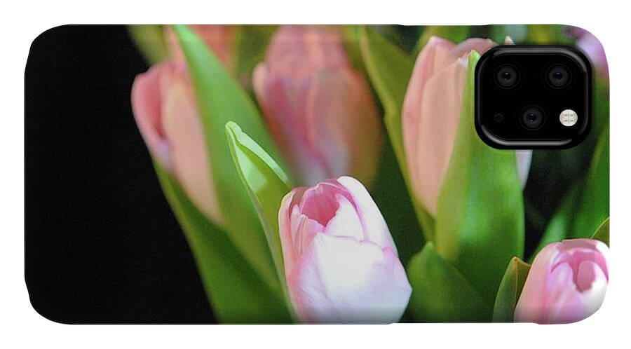 Pink Tulips - Phone Case