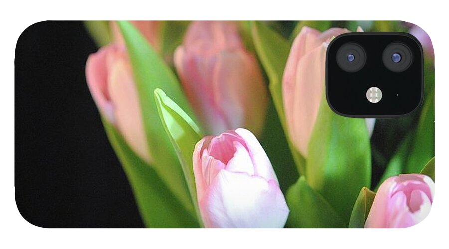 Pink Tulips - Phone Case