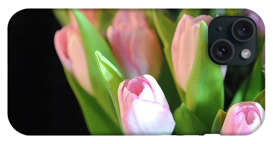 Pink Tulips - Phone Case