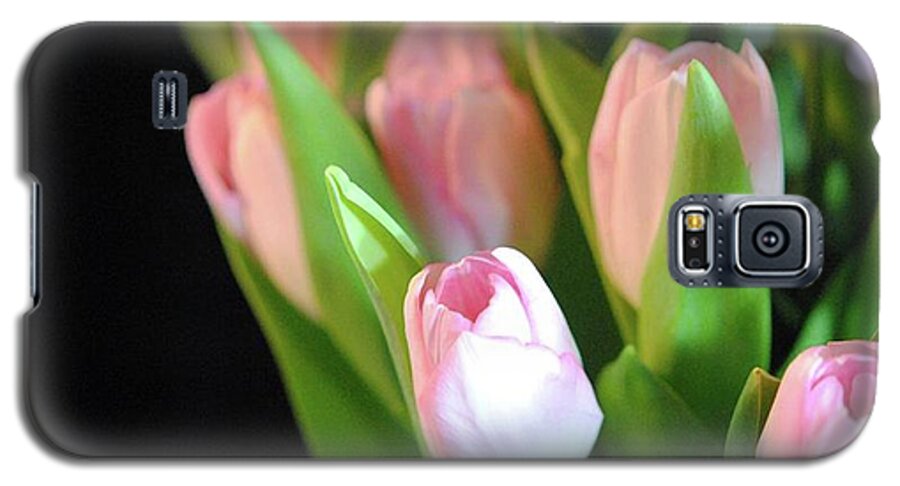 Pink Tulips - Phone Case
