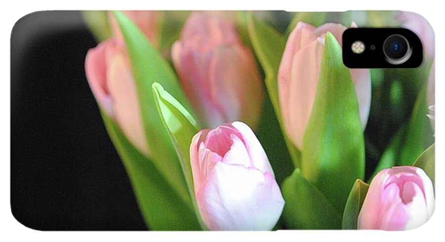 Pink Tulips - Phone Case