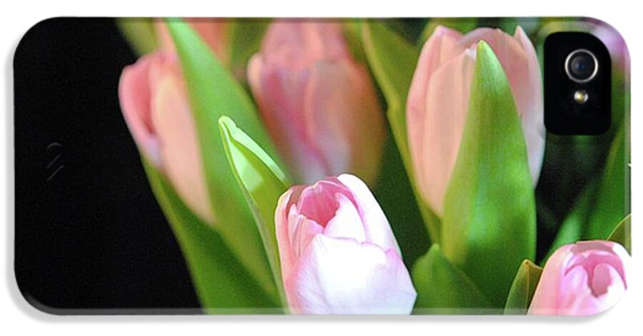 Pink Tulips - Phone Case