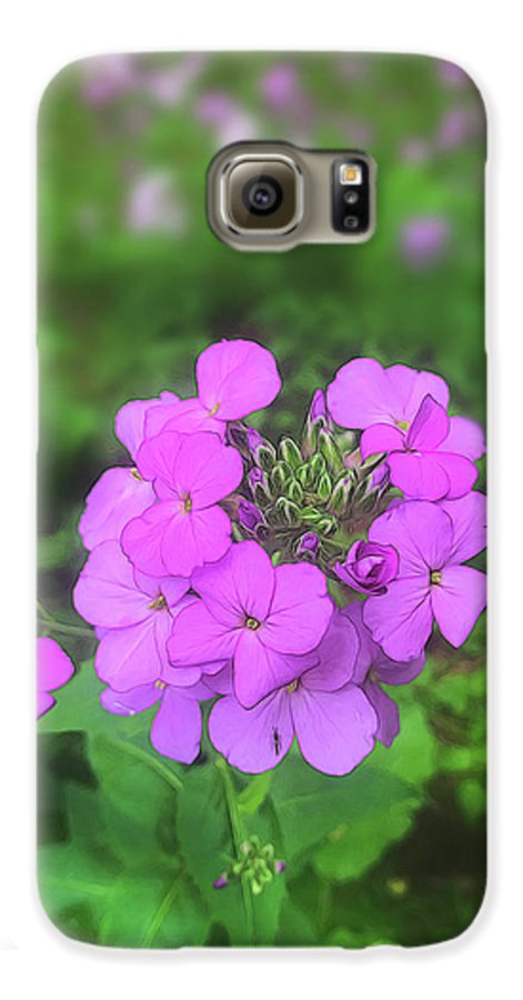 Pink Wildflowers - Phone Case