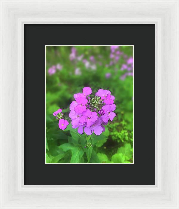 Pink Wildflowers - Framed Print