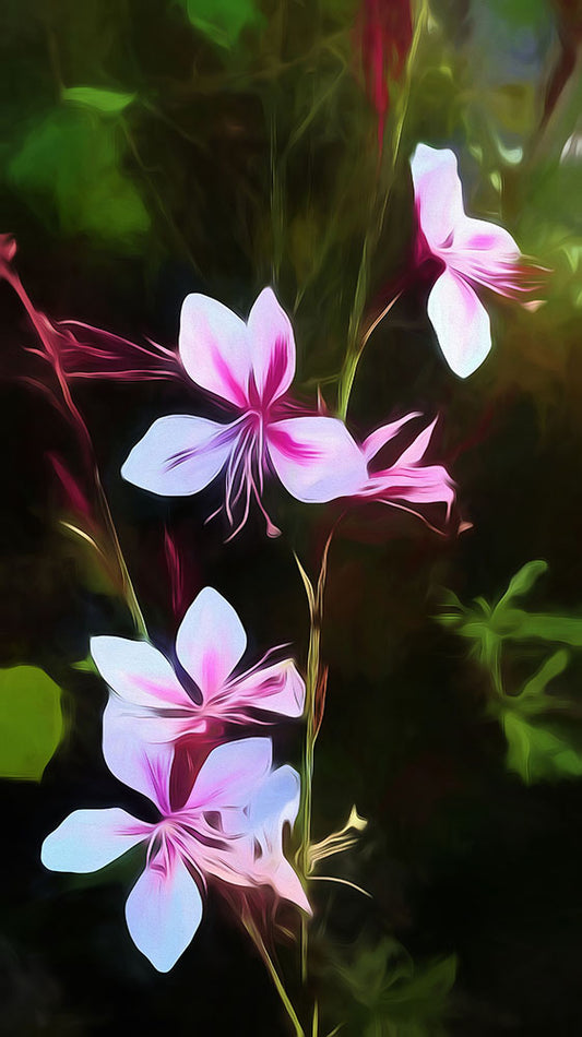 Pink and White Flower Detail Digital Image Download