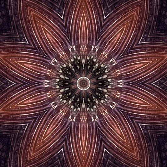 Pink Courderoy Flower Kaleidoscope Digital Image Download