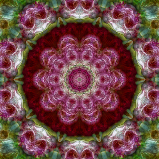 Pink Flower Kaleidoscope Digital Image Download