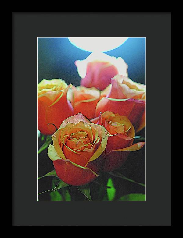 Pinki and Orange Rose Bouquet With Light - Framed Print