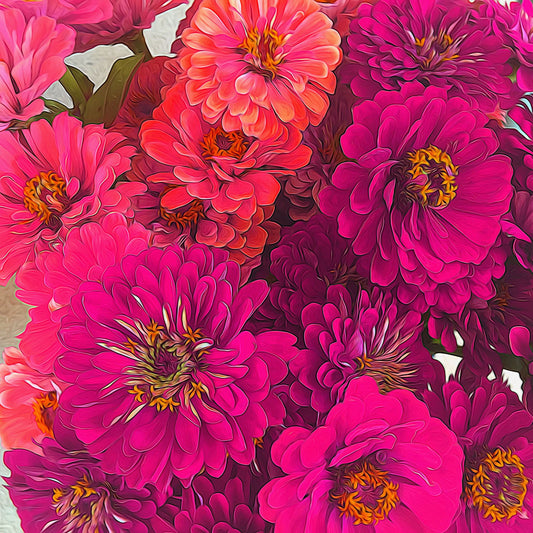 Pink Zinnias Digital Image Download