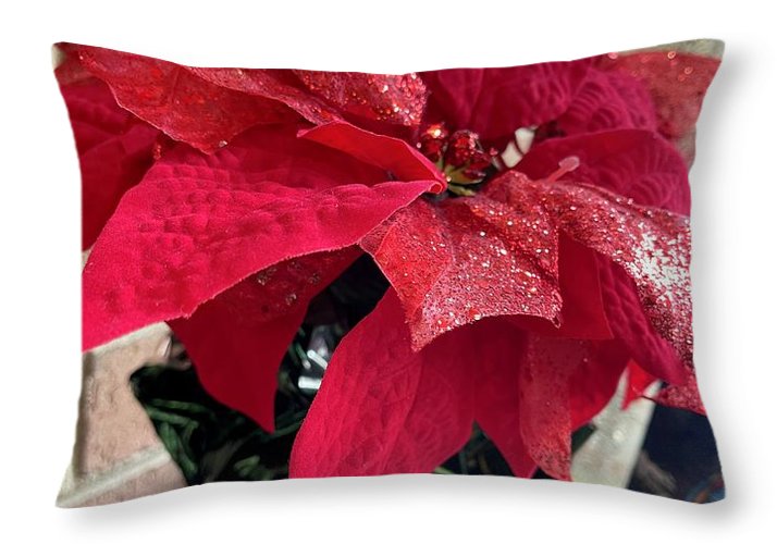 Poinsettia - Throw Pillow