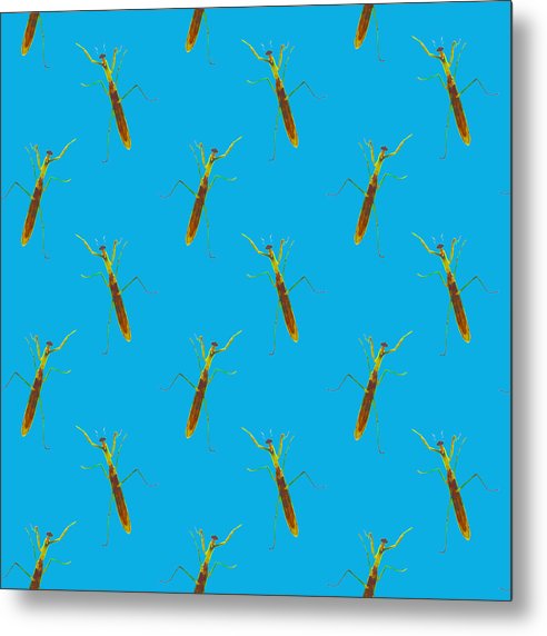 Praying Mantis Pattern - Metal Print