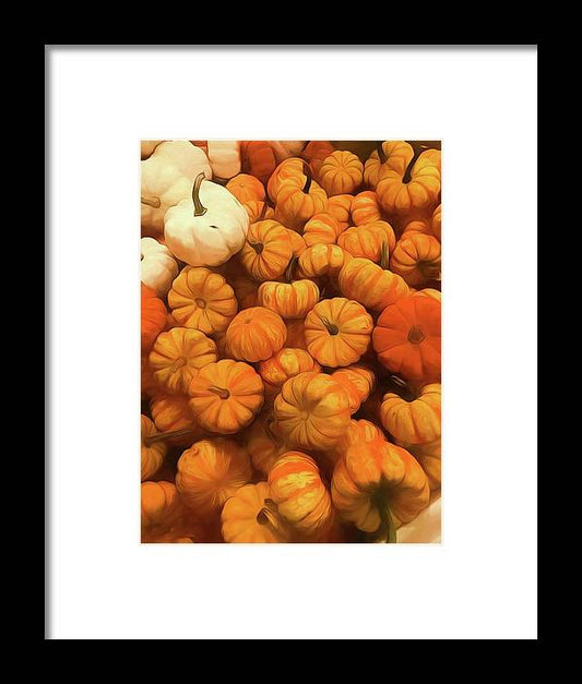 Pumpkins Tiny Gourds Pile - Framed Print