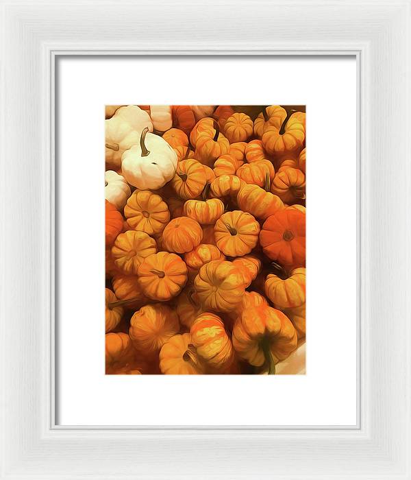 Pumpkins Tiny Gourds Pile - Framed Print