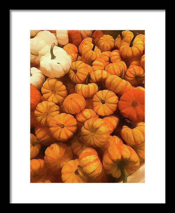 Pumpkins Tiny Gourds Pile - Framed Print