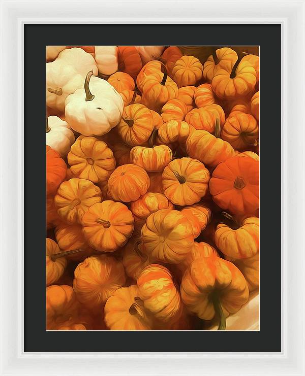 Pumpkins Tiny Gourds Pile - Framed Print