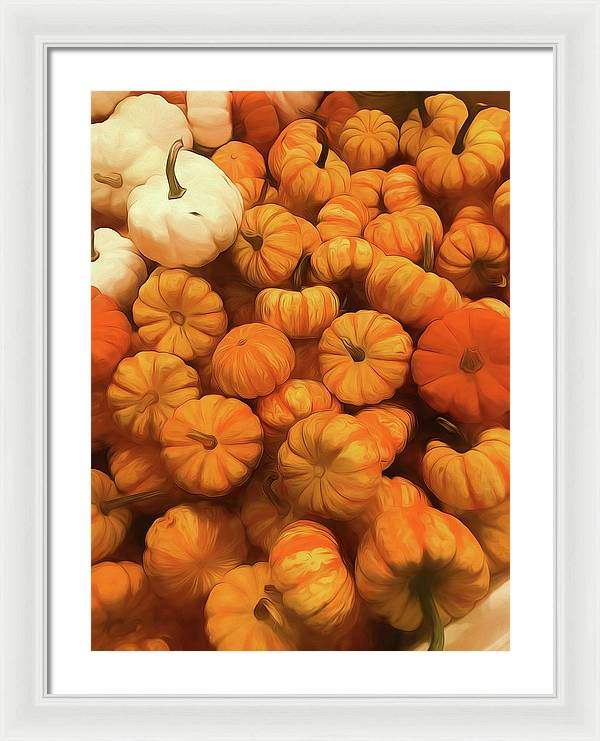 Pumpkins Tiny Gourds Pile - Framed Print