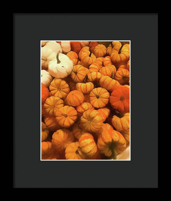 Pumpkins Tiny Gourds Pile - Framed Print