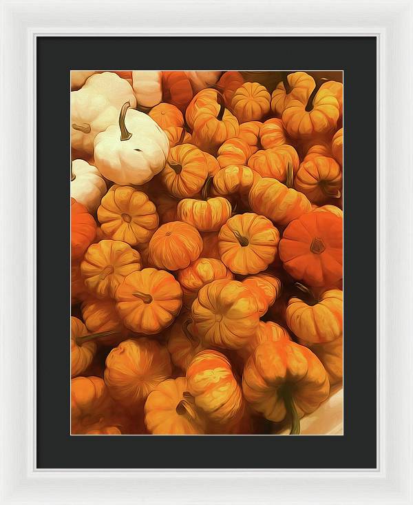 Pumpkins Tiny Gourds Pile - Framed Print