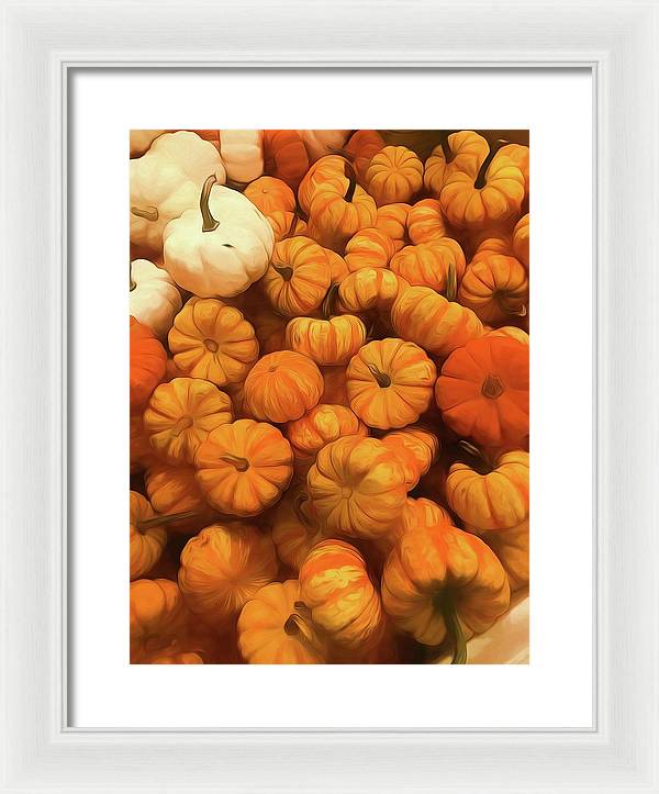 Pumpkins Tiny Gourds Pile - Framed Print